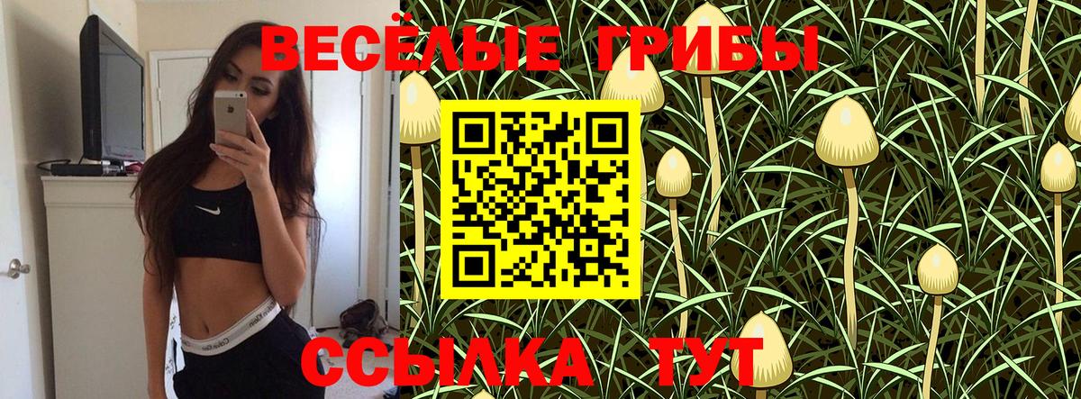 Псилоцибиновые грибы мухоморы  Псилоцибиновые грибы ЛСД  Екатеринбург  Вход с VPN 